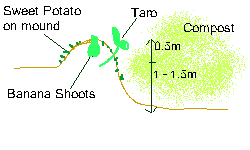 Banana-circle-ground-cross-section.gif