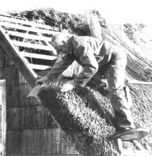 Biomass Roofing p02a.jpg