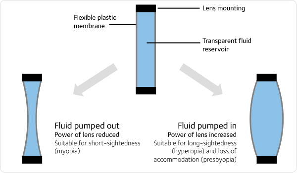 Fluidfilledlens.gif