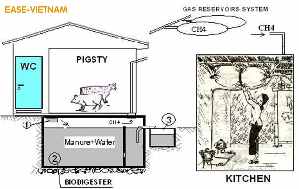 VACVINA Biogas model.jpg