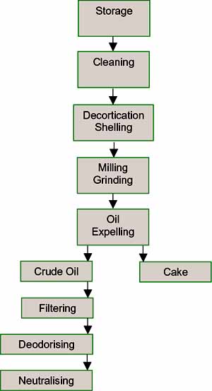 Extract Oil at Home from some less Common Seeds using Softel Oil Maker