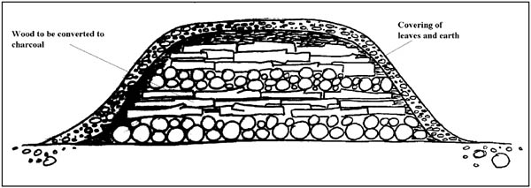 Biogas p03.jpg