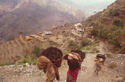 Rural Nepal
